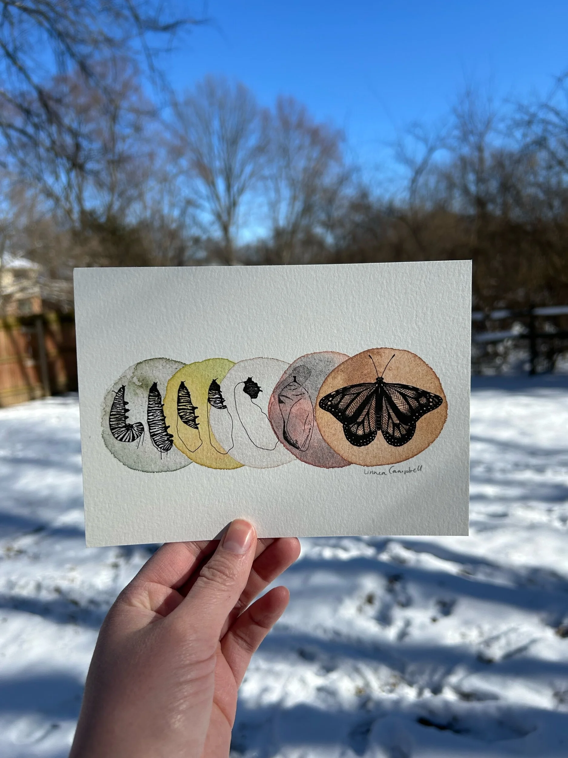 C47A8275-89E9-4805-BEDD-7F9D98014128