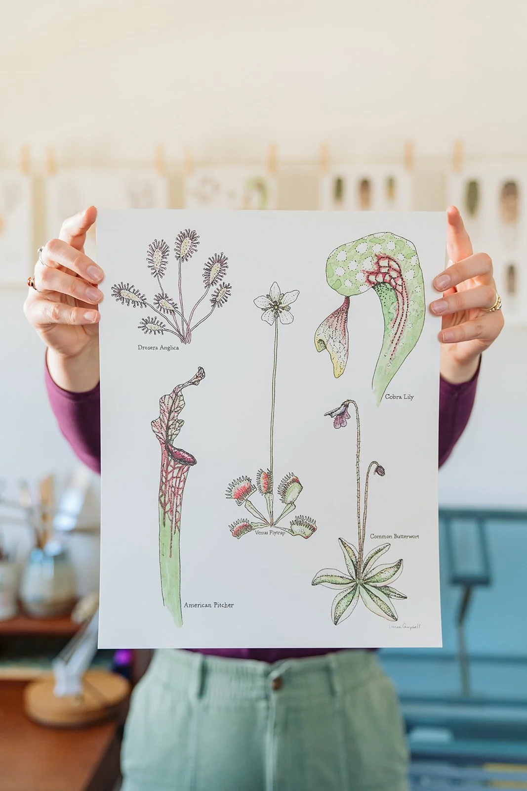 Carnivorous Plants Print  Linnea Campbell