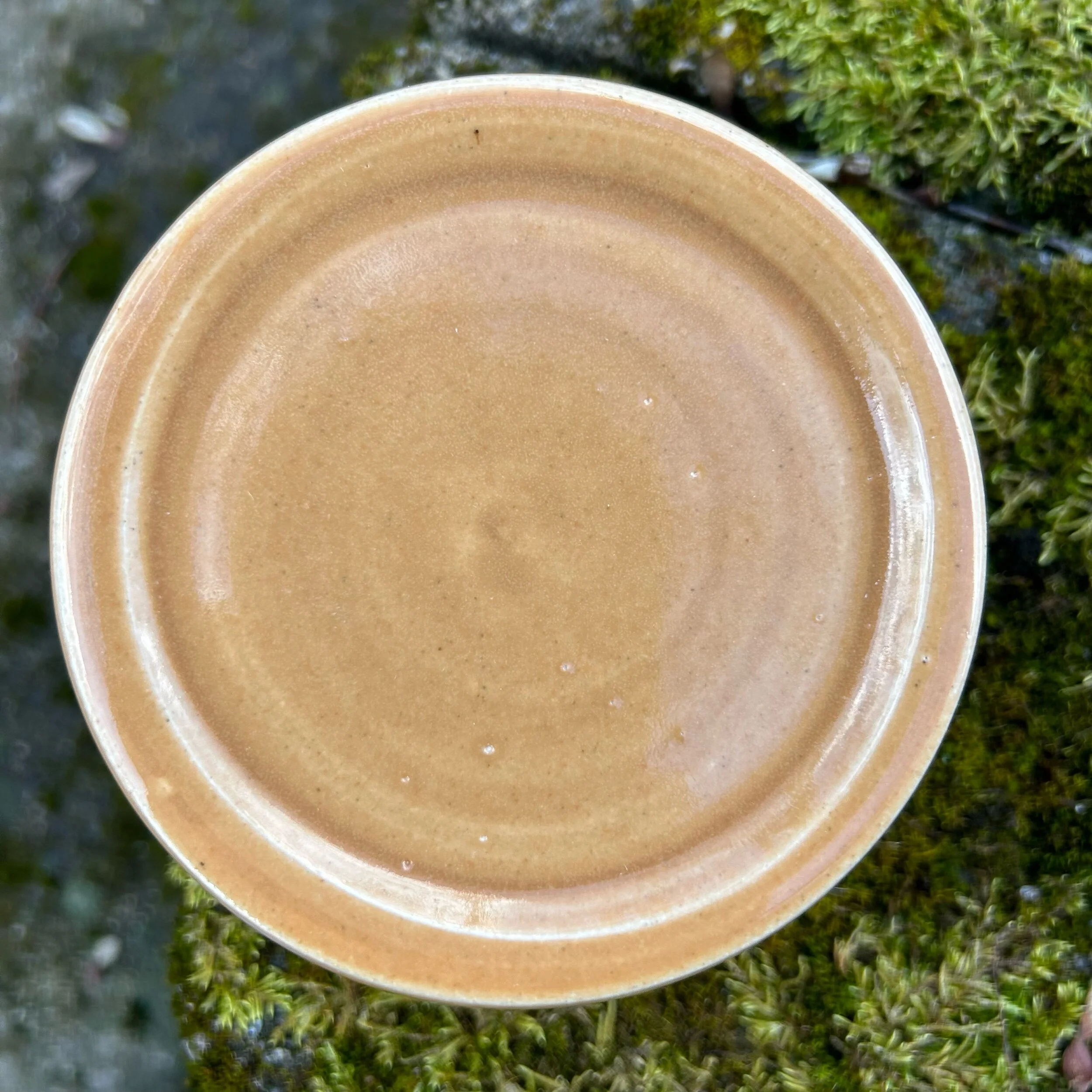 2323CA49-4802-416F-9DE2-C3A40A41FD85