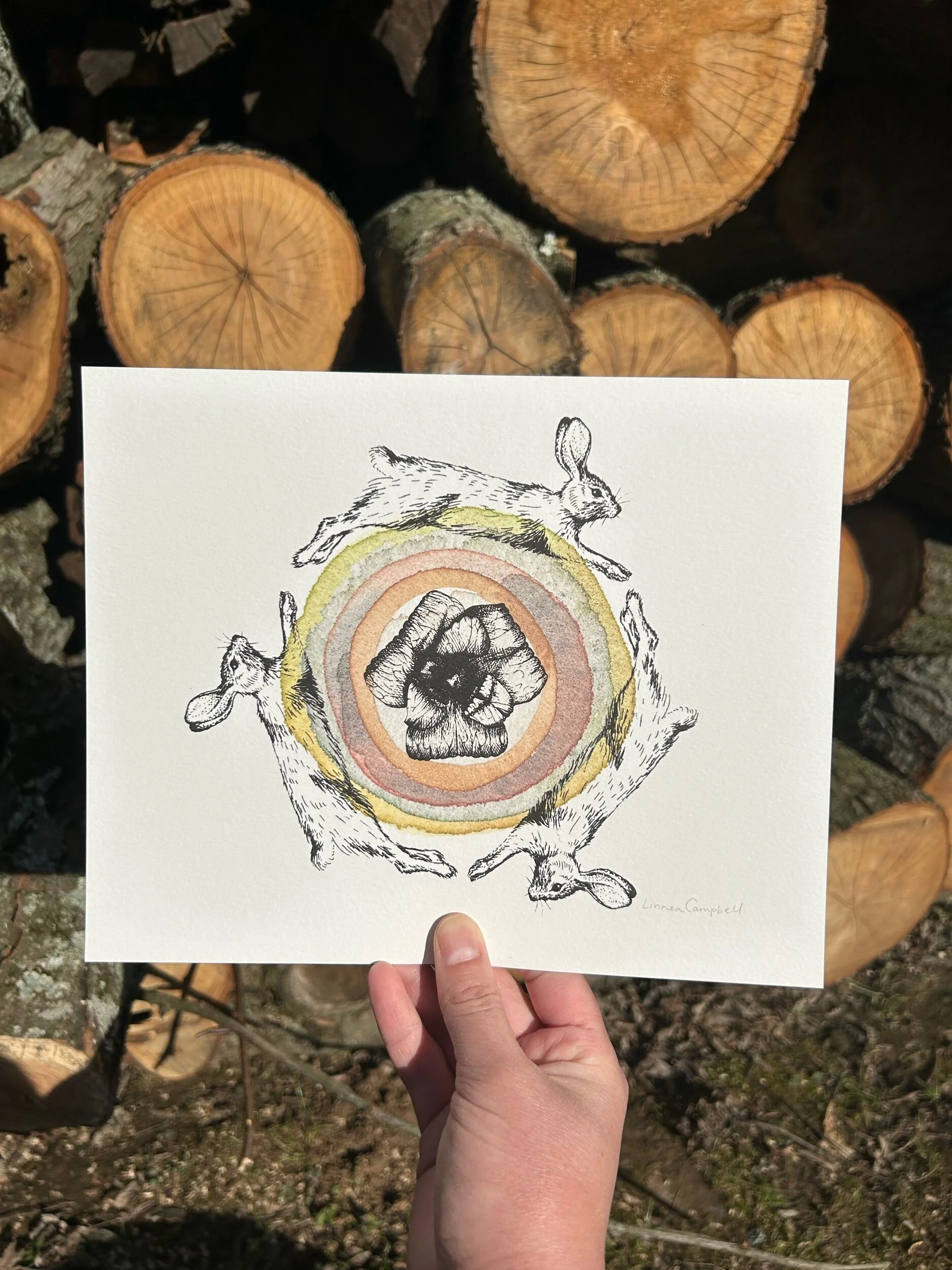 532023D5-FA8D-4598-864C-8C2A0D192CD0