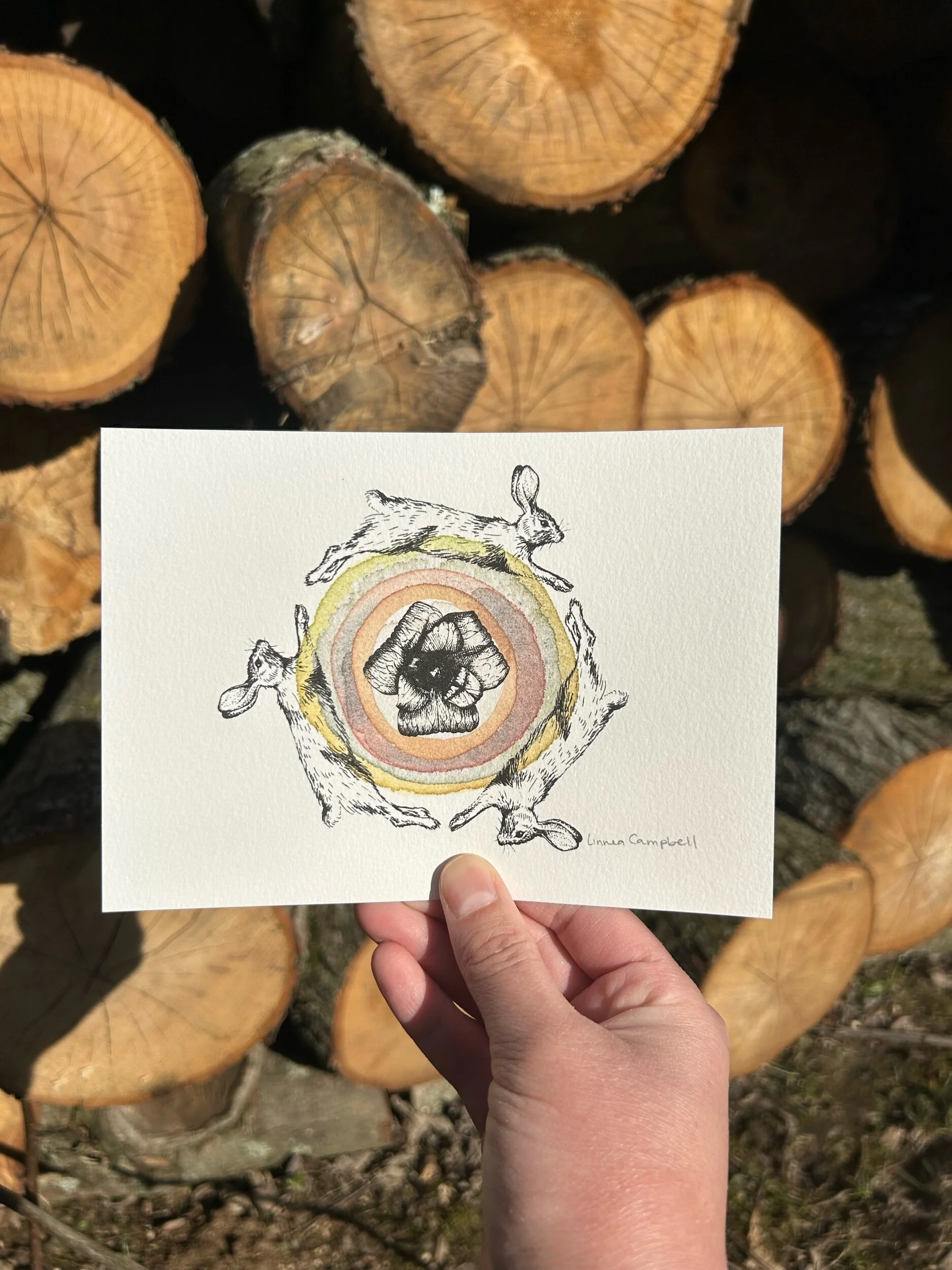 A778302F-ADAF-4320-A74D-43BF4D357D71