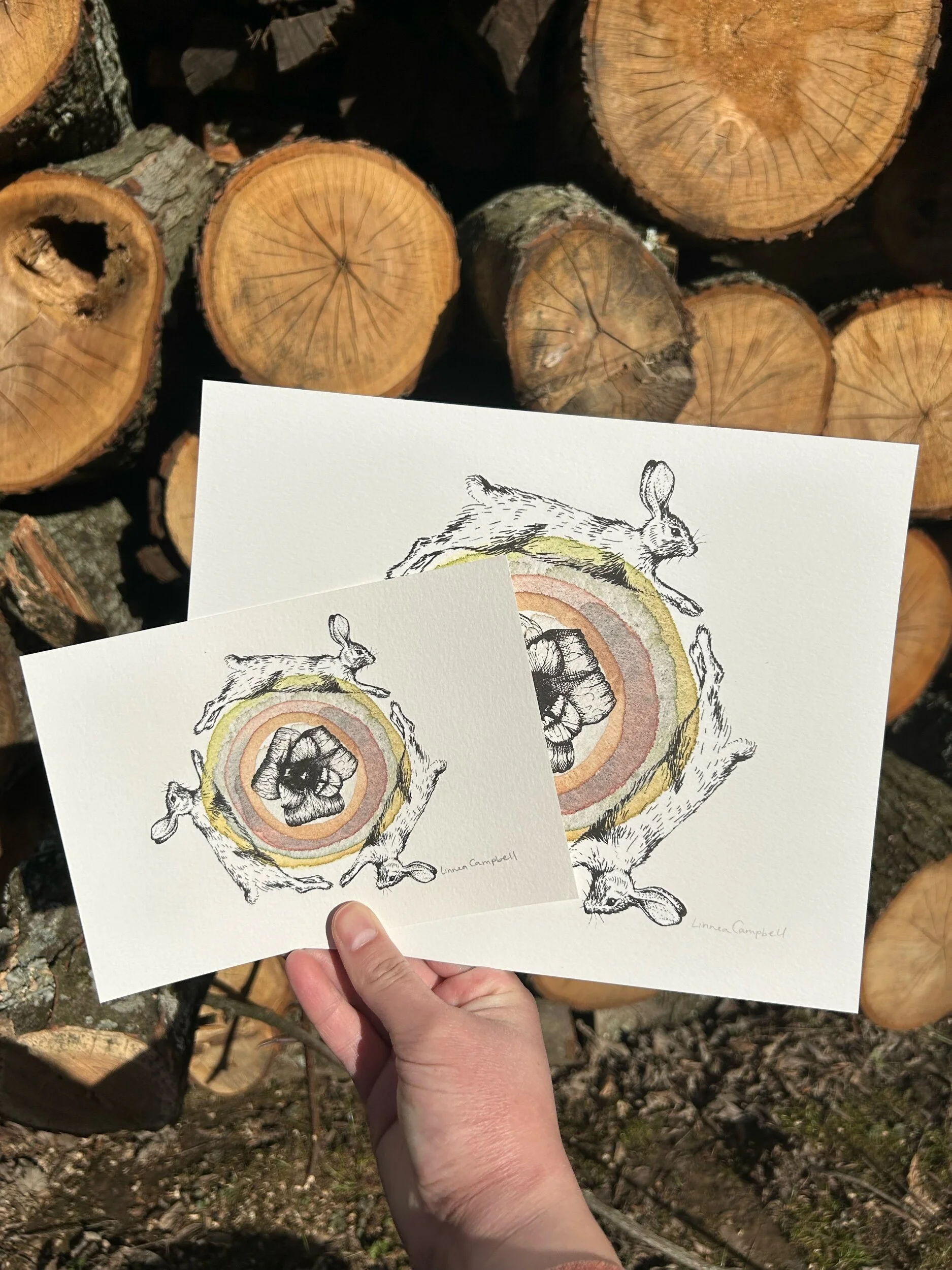 CFBA3DD0-0FF7-4D3B-99F6-A400F7452E1F