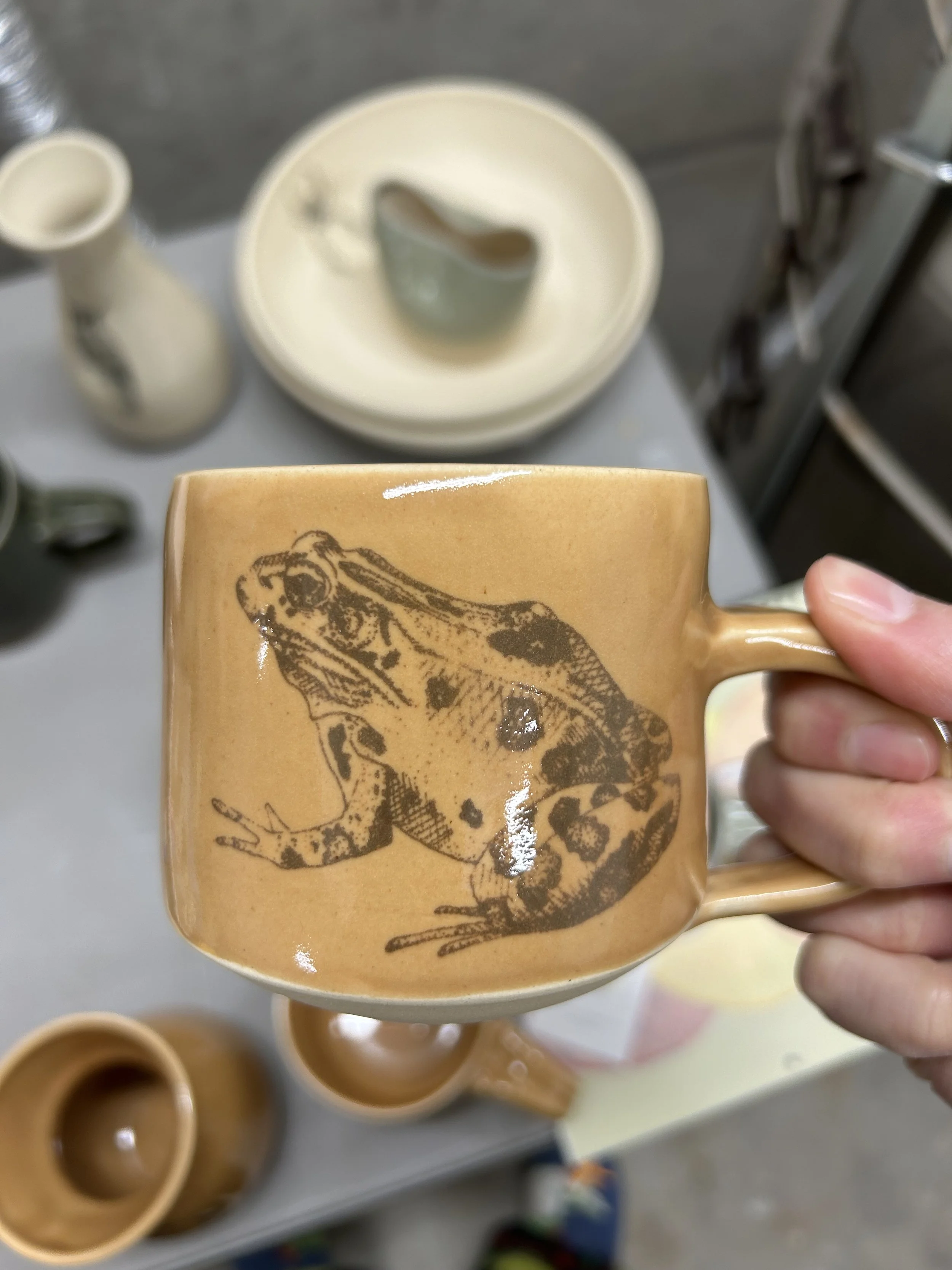 Frog Mug