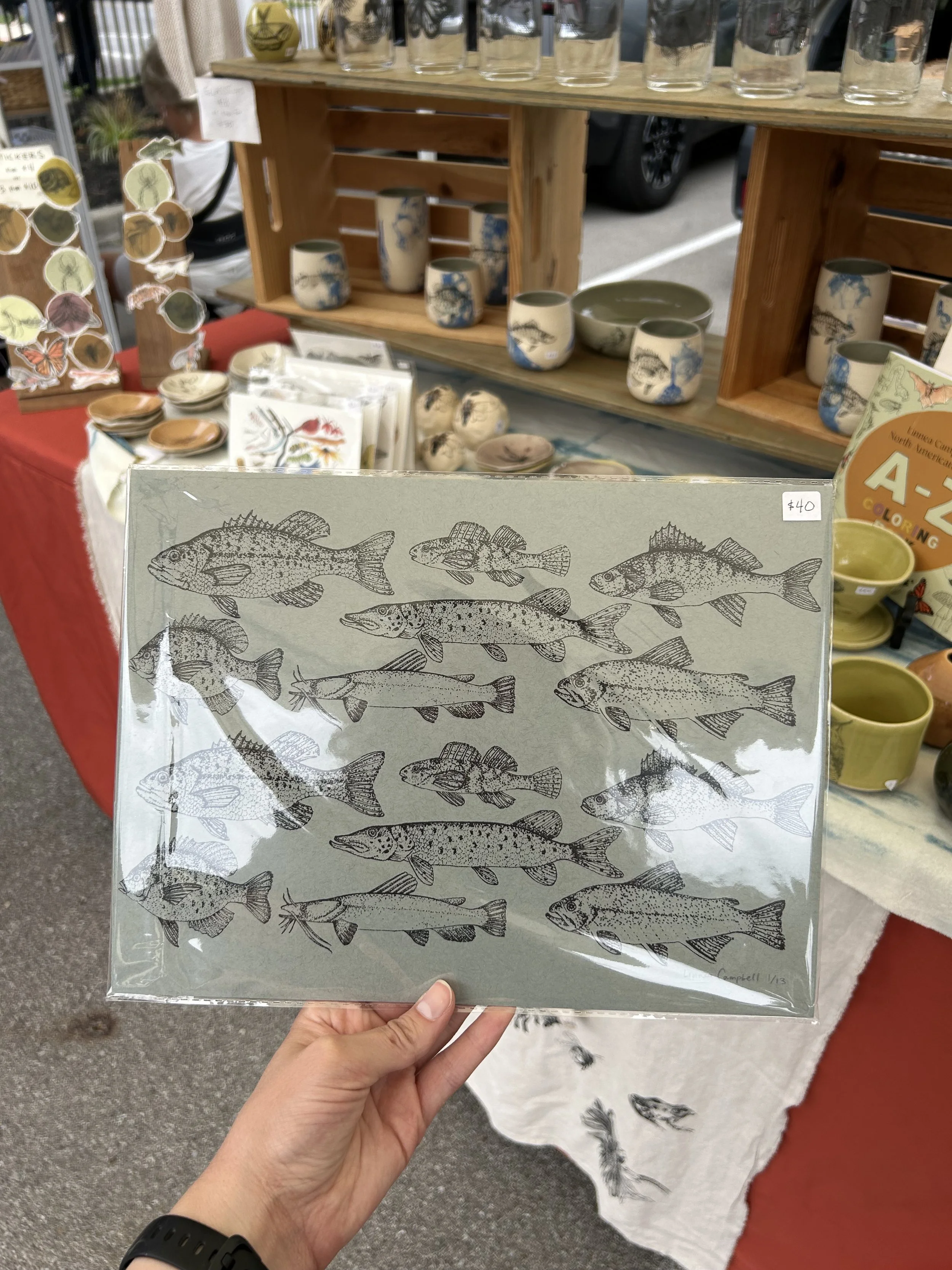 IMG_0890.jpeg