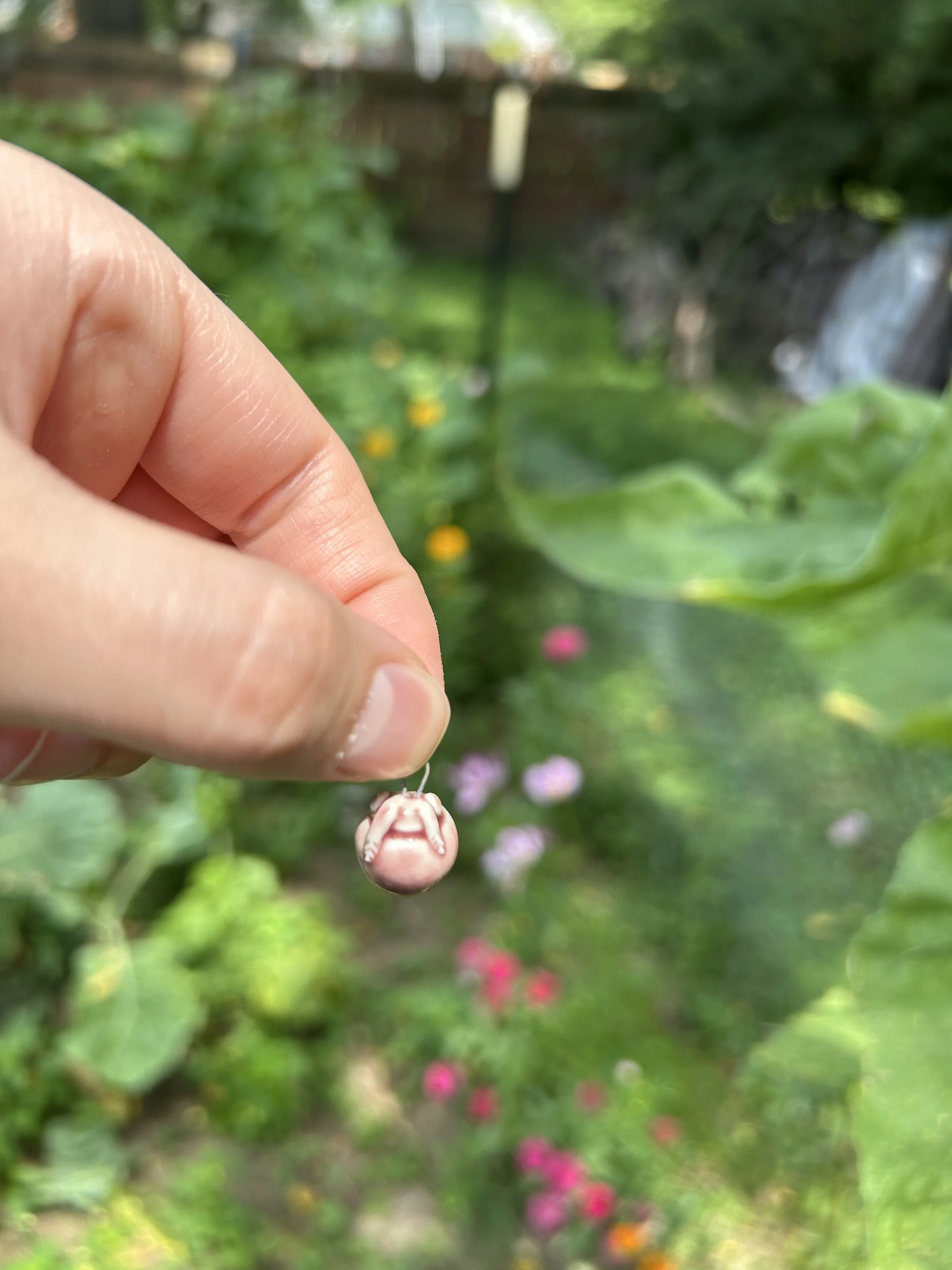 IMG_9576.jpeg