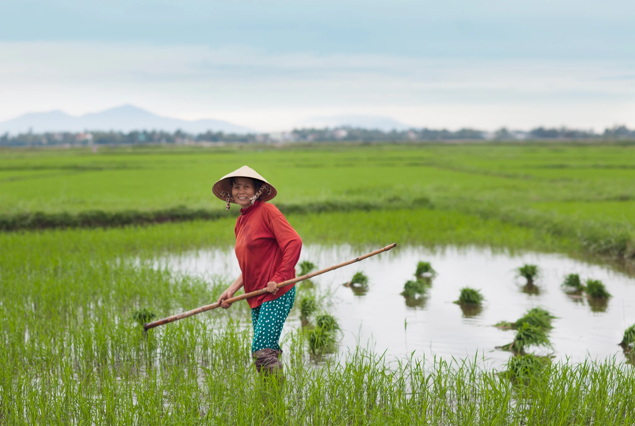qfb - Hoi An3- Vietnam -93LR.jpg
