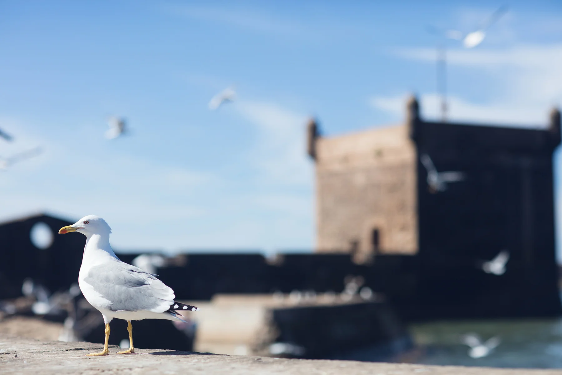 Essaouira