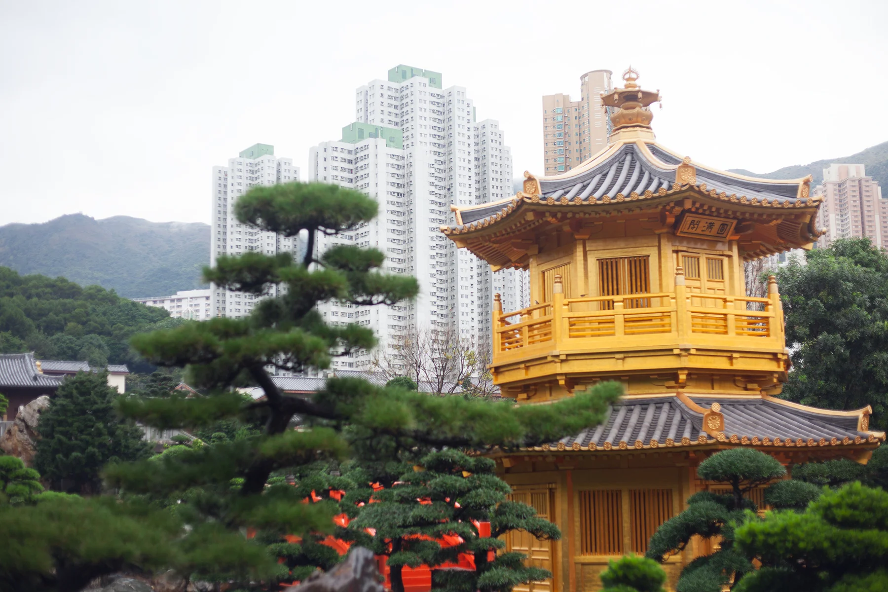 TravelDiaries-HK-141.jpg