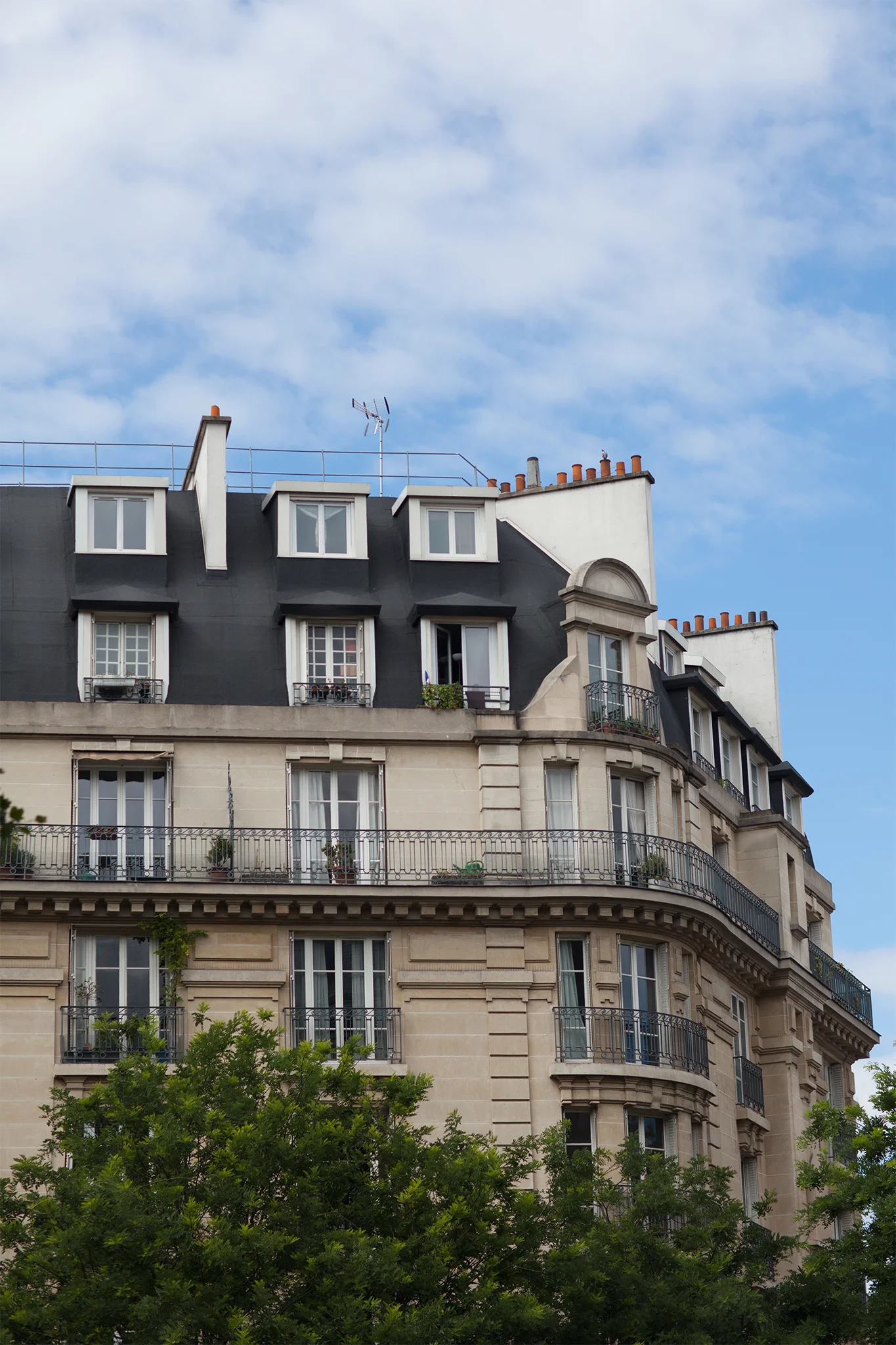 TD-France684LR.jpg
