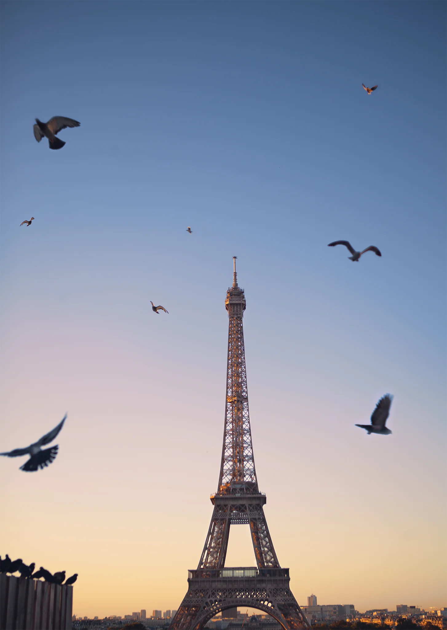 TD-France926LR.jpg