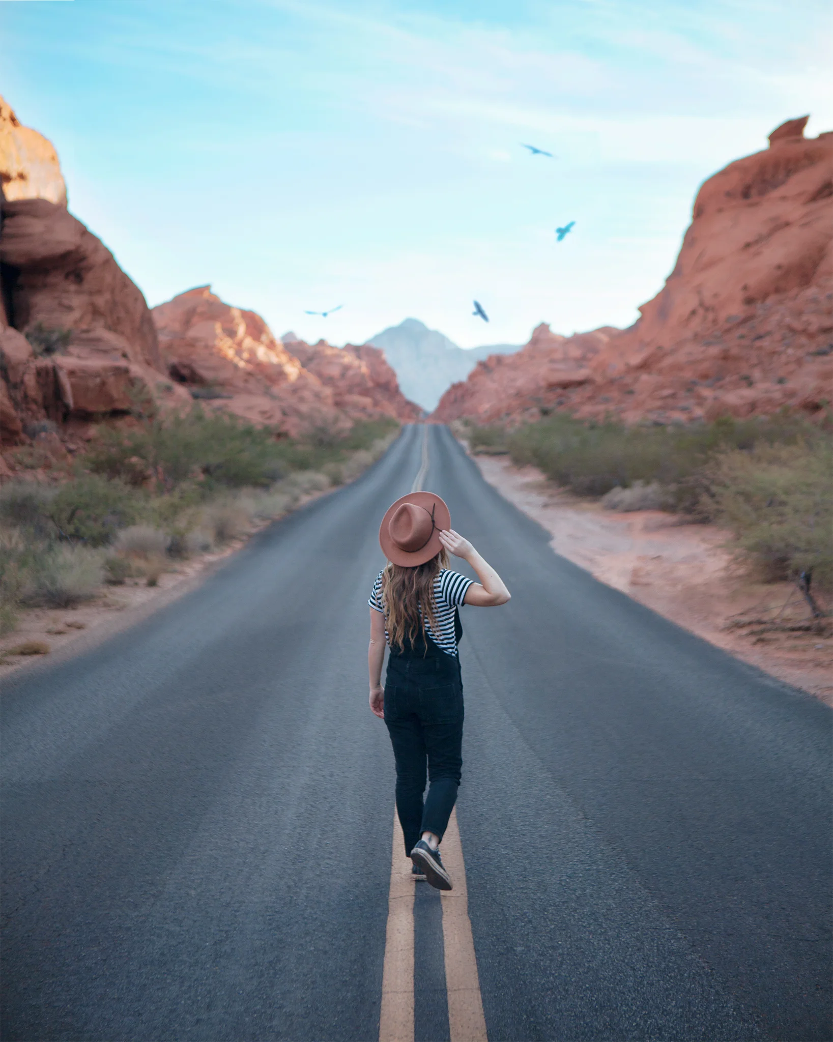 Nevada95LR.jpg