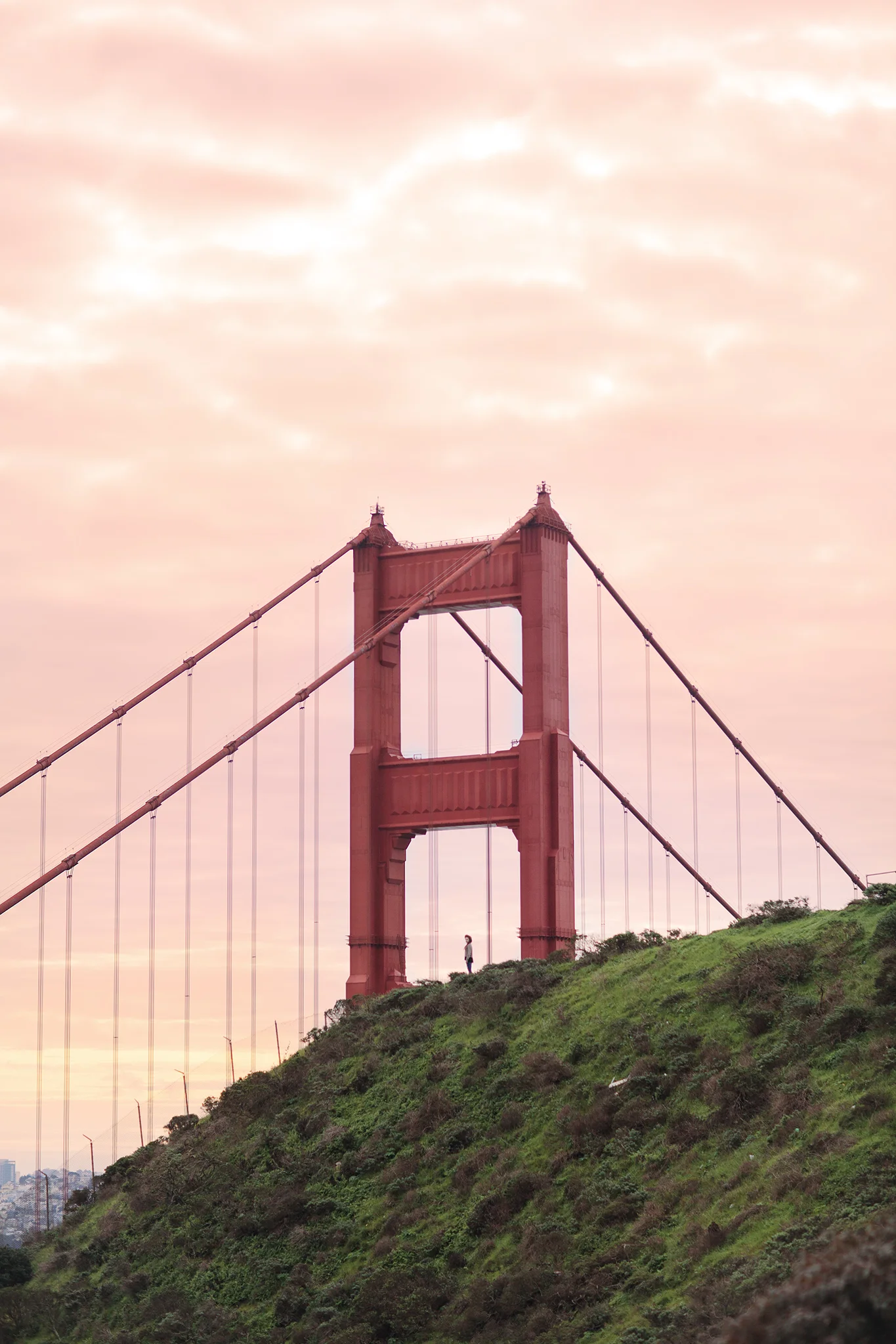 California-SF-1831.jpg