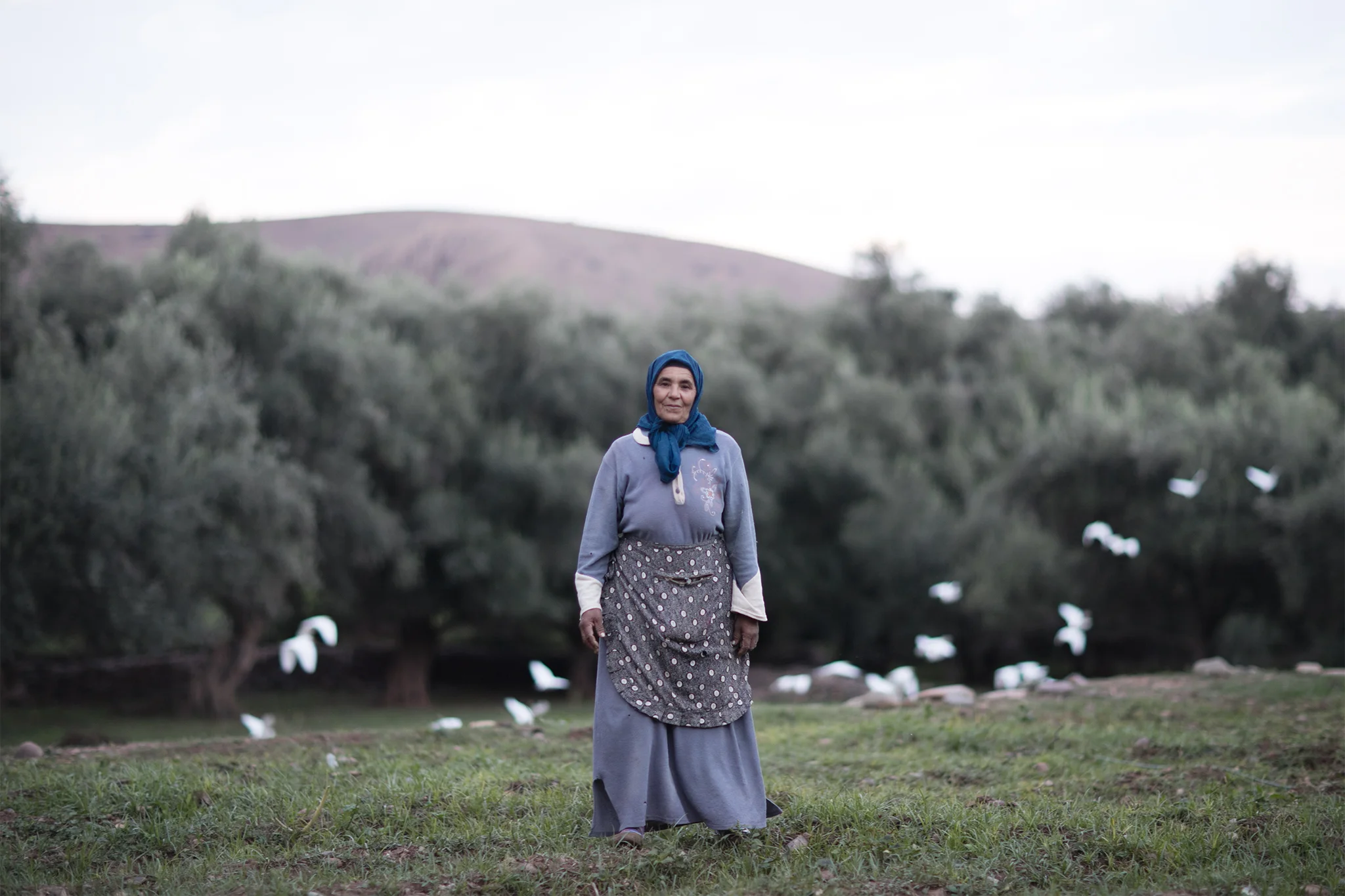 Beauty Project - Morocco-100lr.jpg