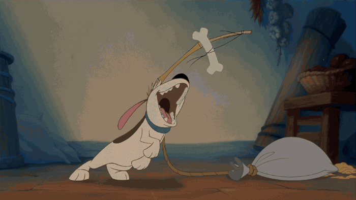 giphy (1).gif