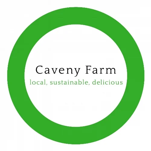 logo2.jpg