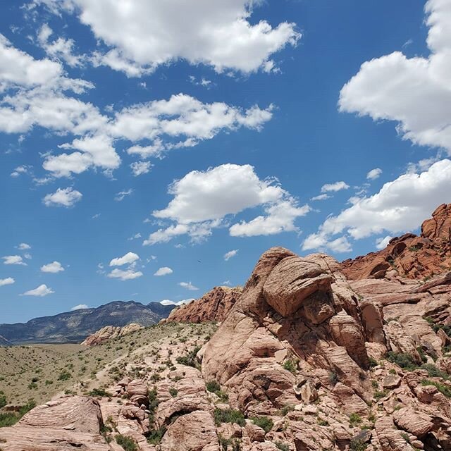 Look at my life man that's blessings on blessings on blessings 
#traveling #nevada #blueskies #nature #clouds #love #instatravel #explore #landscape #trip #beautiful #summer #wanderlust #motherearth #hereonearth #landscape #traveling #naturephotograp
