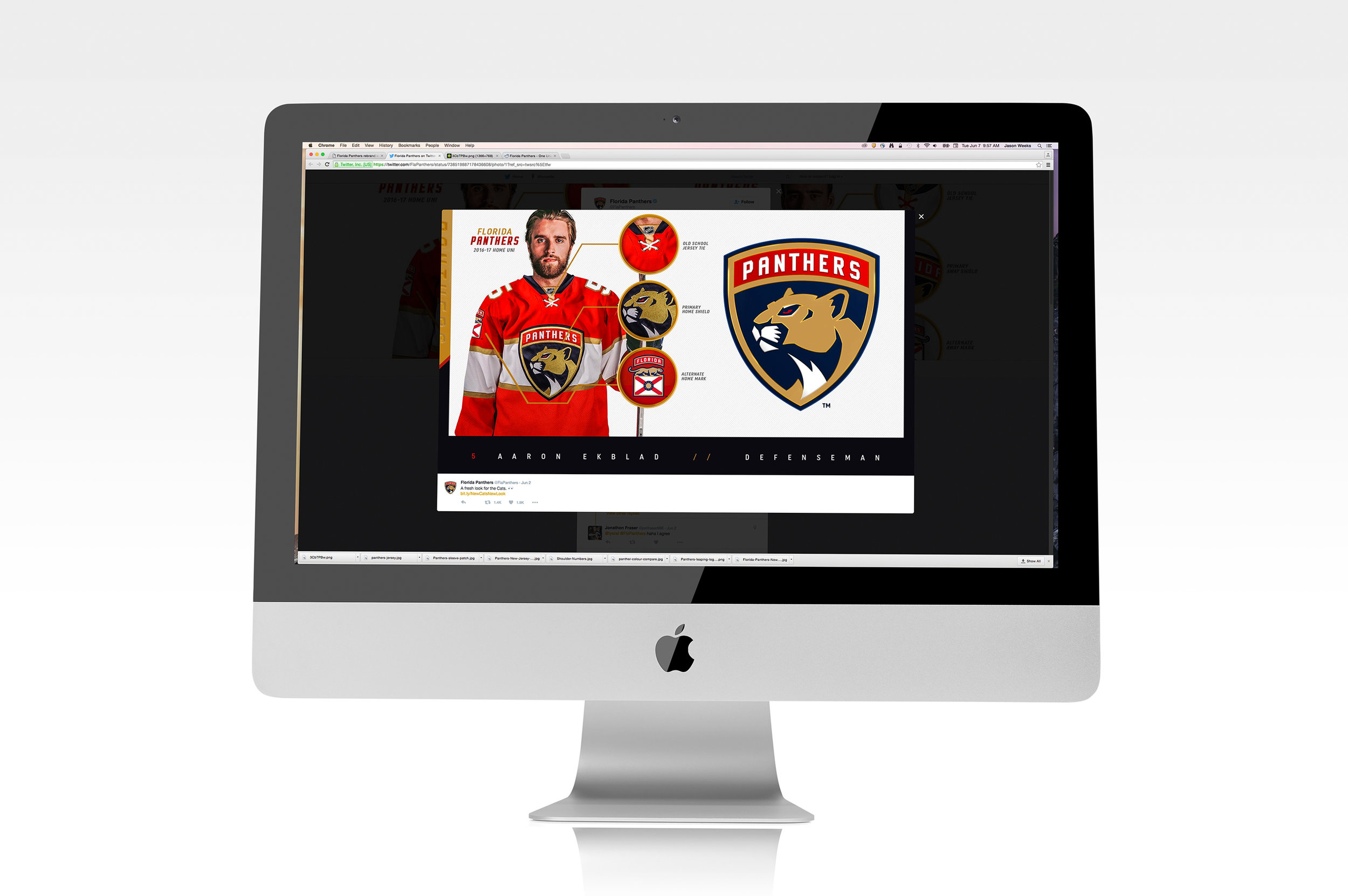 FLORIDA PANTHERS RE-BRAND
