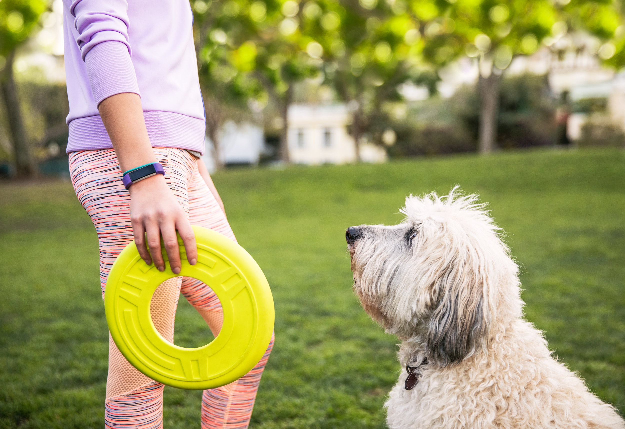 Ace_Girl_FrisbeeDog_4424_RGB.jpg