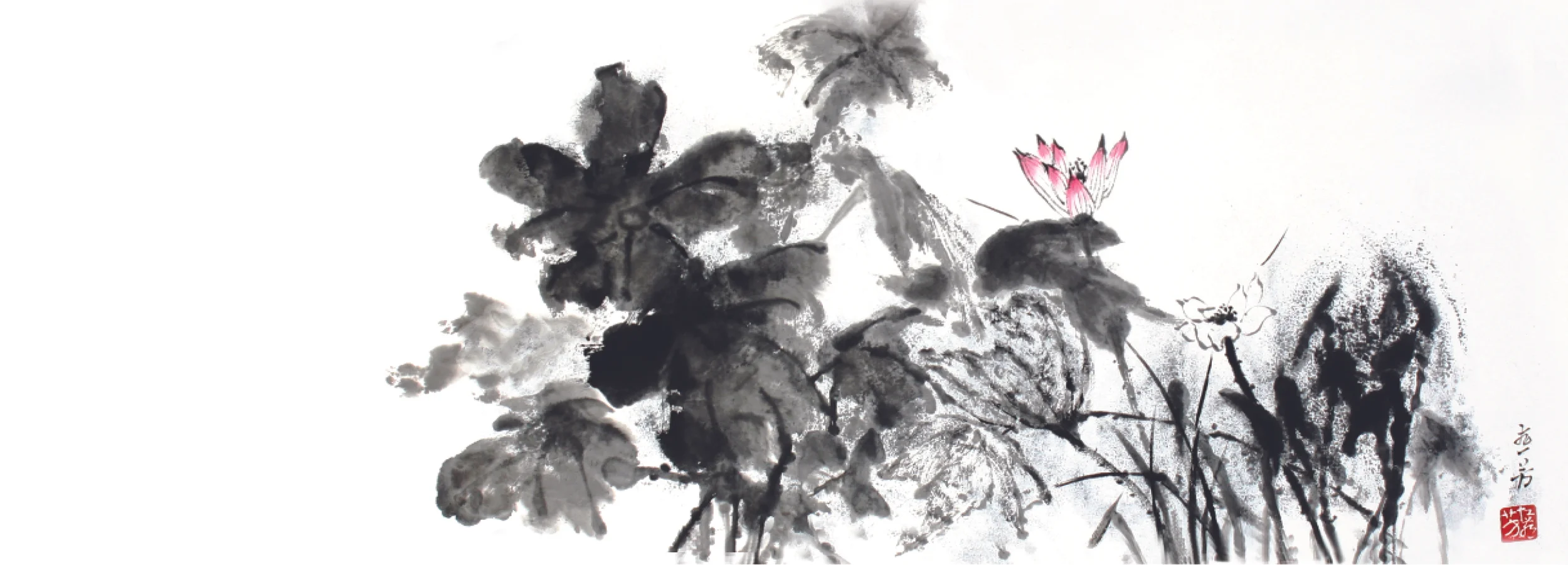 Web site opening .jpg