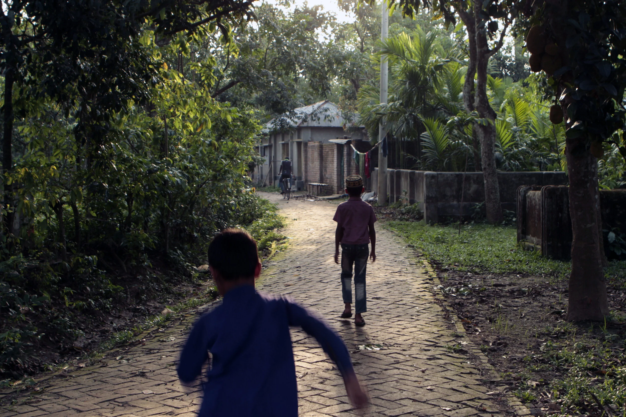 20150422_Bogra_219eCrop.jpg