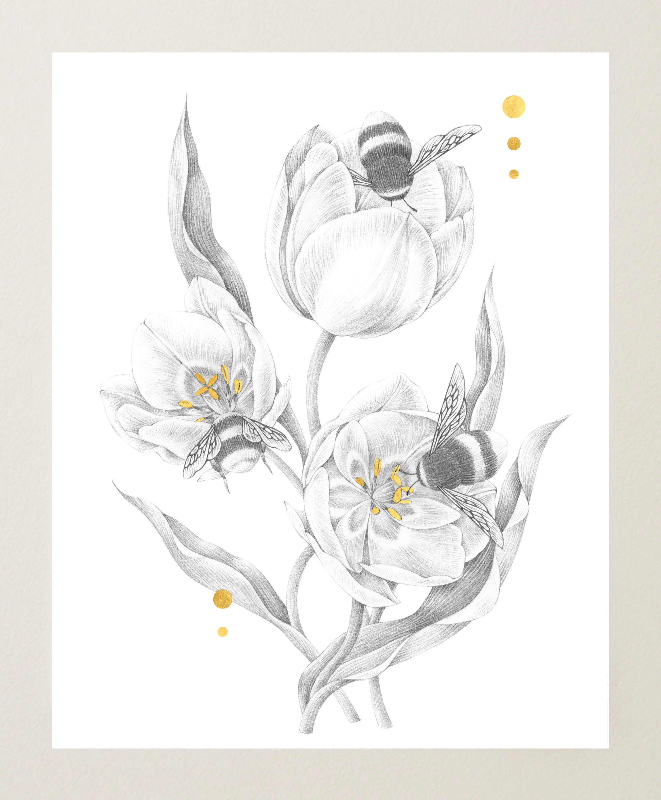 Tulips and Bumblebees
