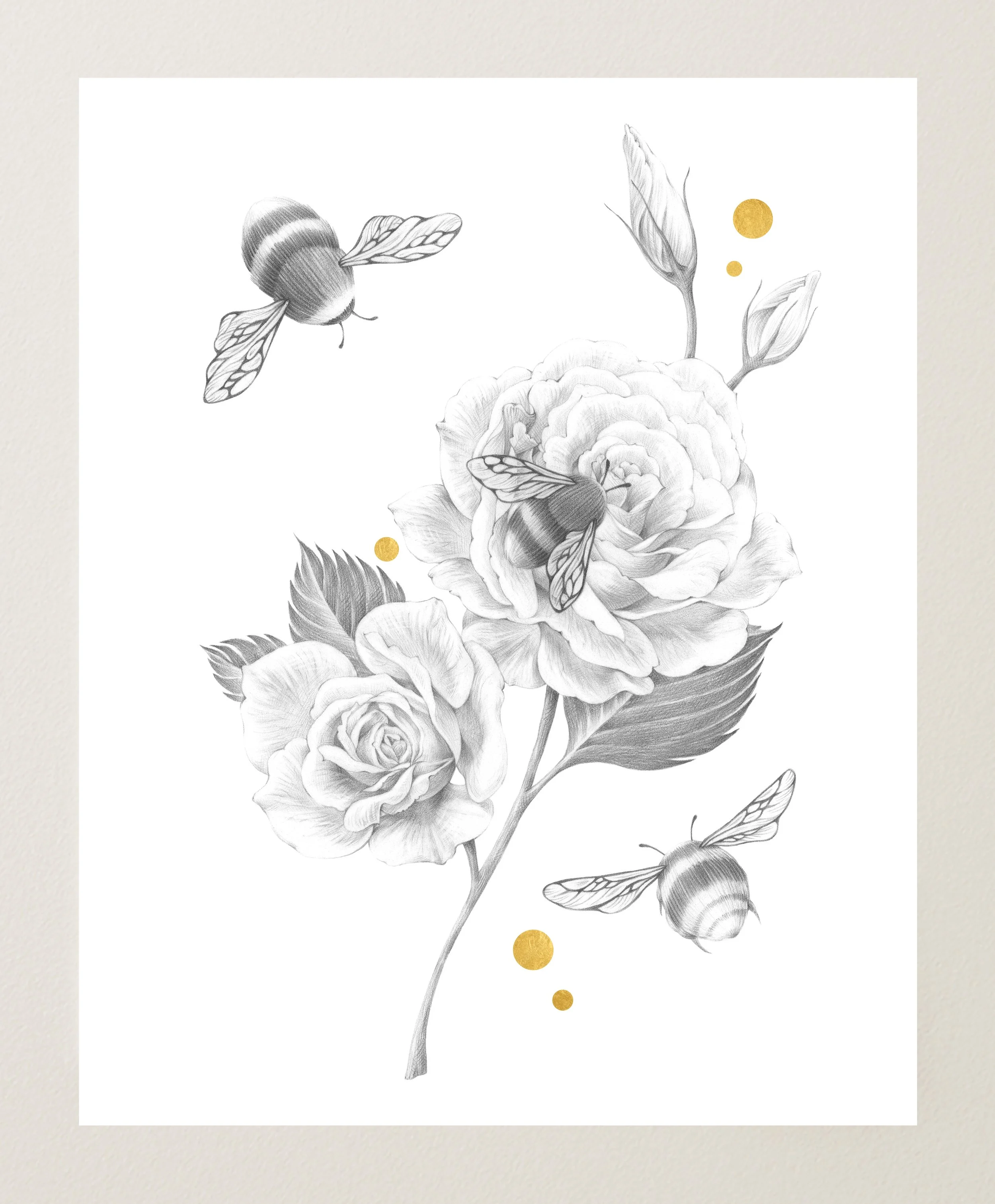 Roses and Bumblebees