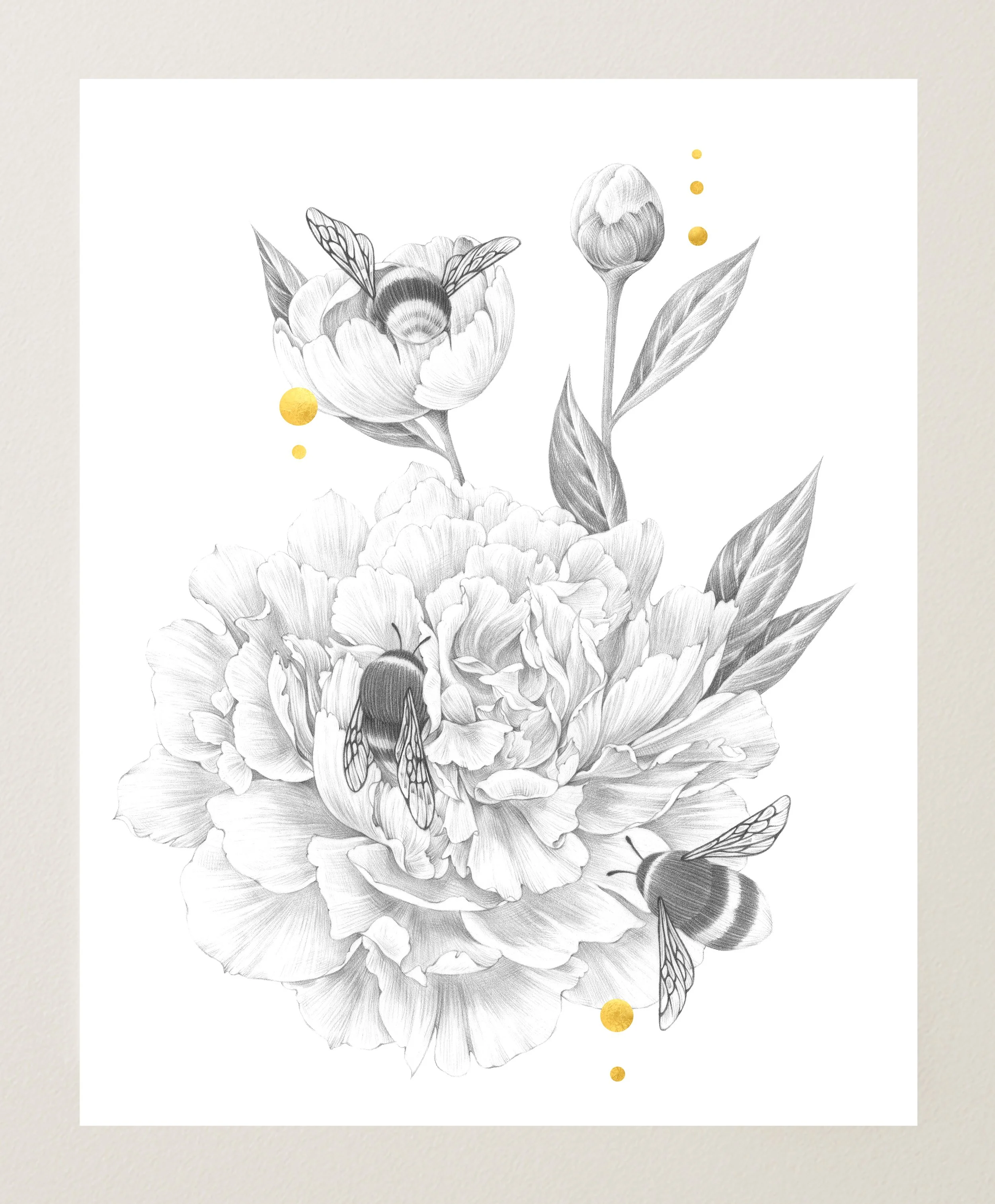 Peonies and Bumblebees