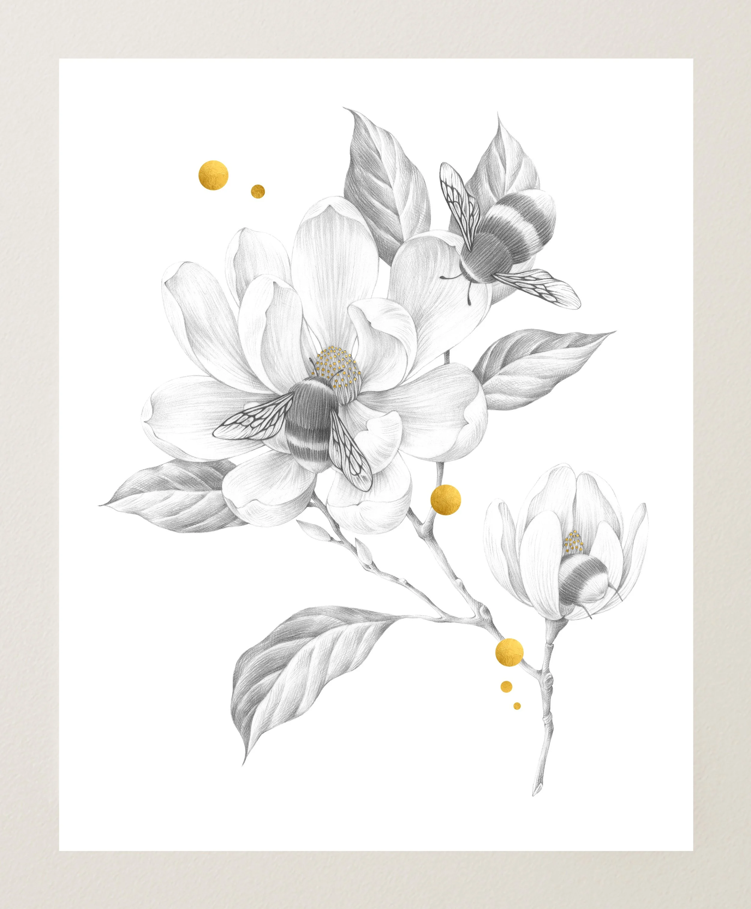 Magnolias and Bumblebees