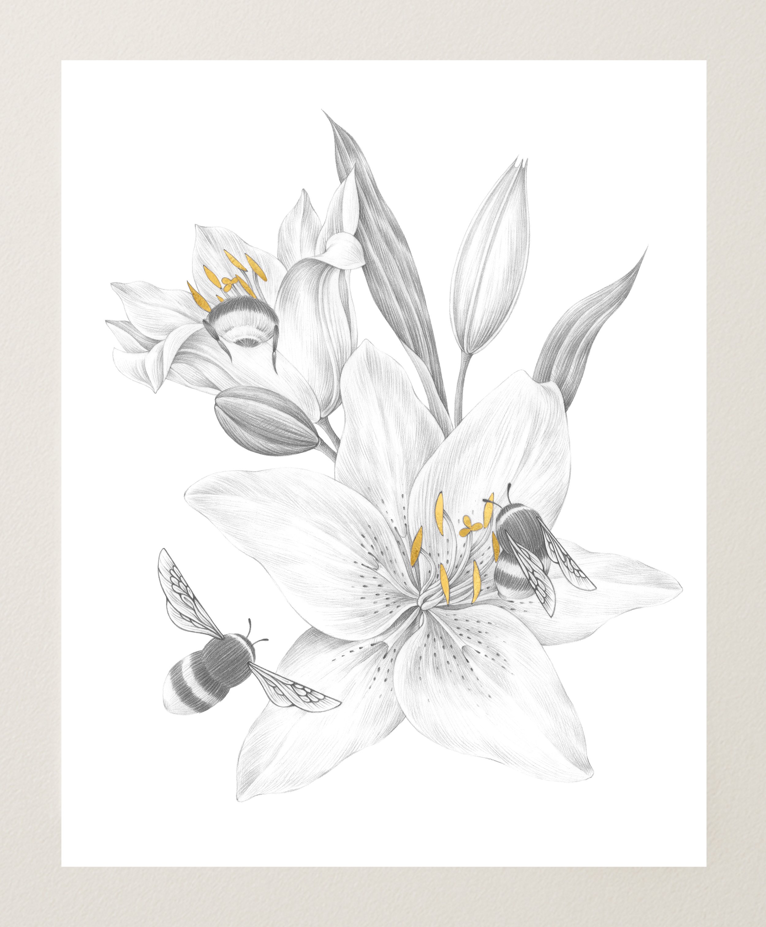Lilies and Bumblebees