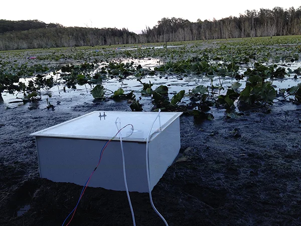  Late arvo sampling of the sediment-air methane flux using LGR gas analyser