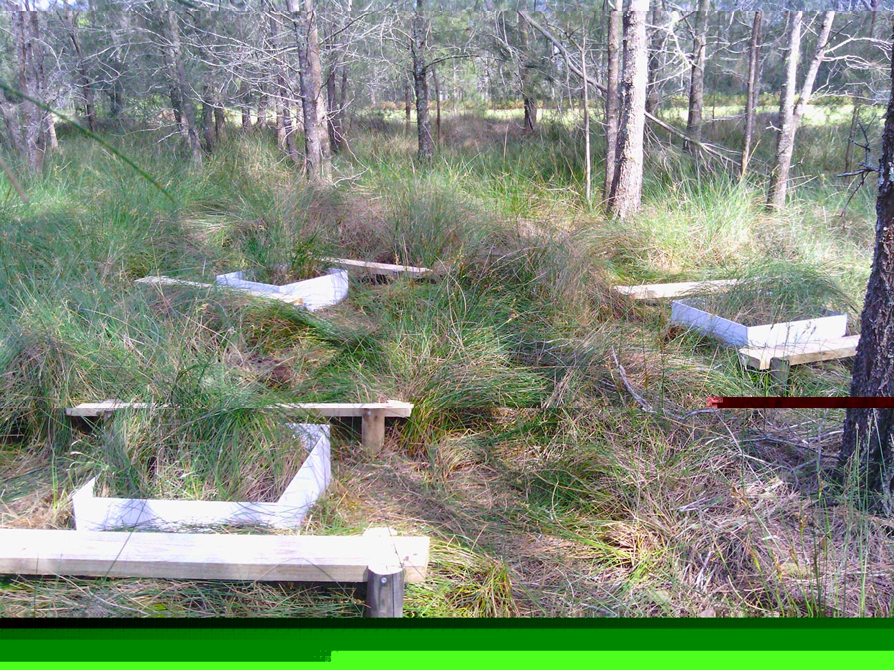 Future study sites resembling picnic areas, ready to quantify seasonal vegetative methane emissions