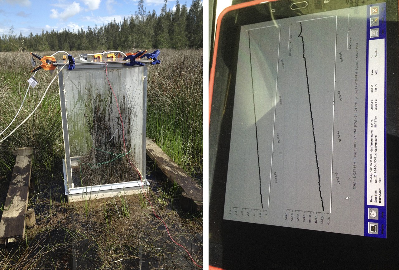 Time series vegetation chamber A and the associated flux of methane and CO2.