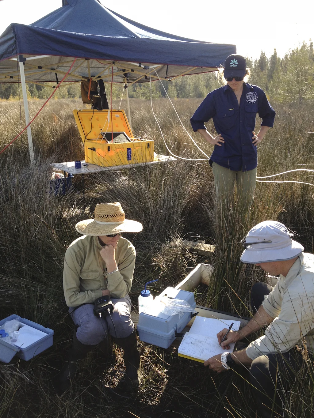 Measuring soil redox conditions with geoscience team