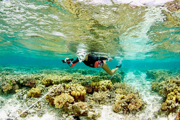 Seachanger in search of bright spots in Great Barrier Reef SCU June 7th, 2018 https://www.scu.edu.au/engage/news/latest-news/2018/seachanger-in-search-of-bright-spots-in-great-barrier-reef.php