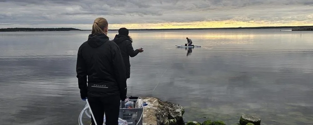 Gotland fältarbete 1.jpeg