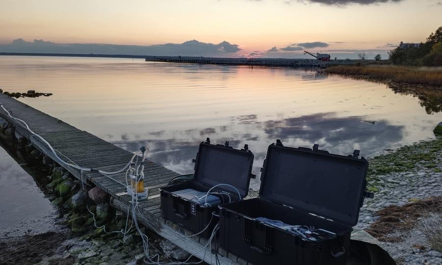 Gotland fältarbete 7.jpg