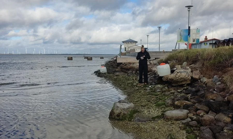 Gotland fältarbete 8 beskuren.jpeg