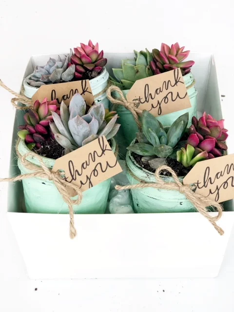 Succulent Favors Thank You Mint Studio
