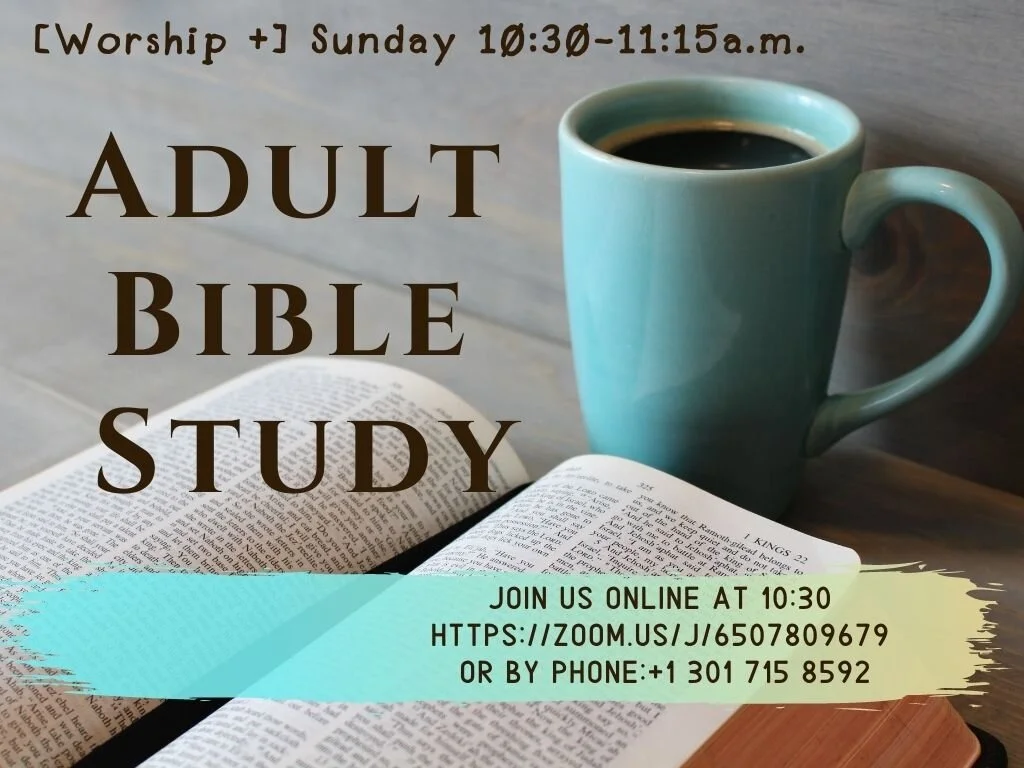 Adult Bible Study - Sundays at 10:30 a.m.   Our mixed gender adult Sunday School Group meets at 10:30 a.m. Sundays in-person, in Room 160. Hosted by Lonnie Brooks.