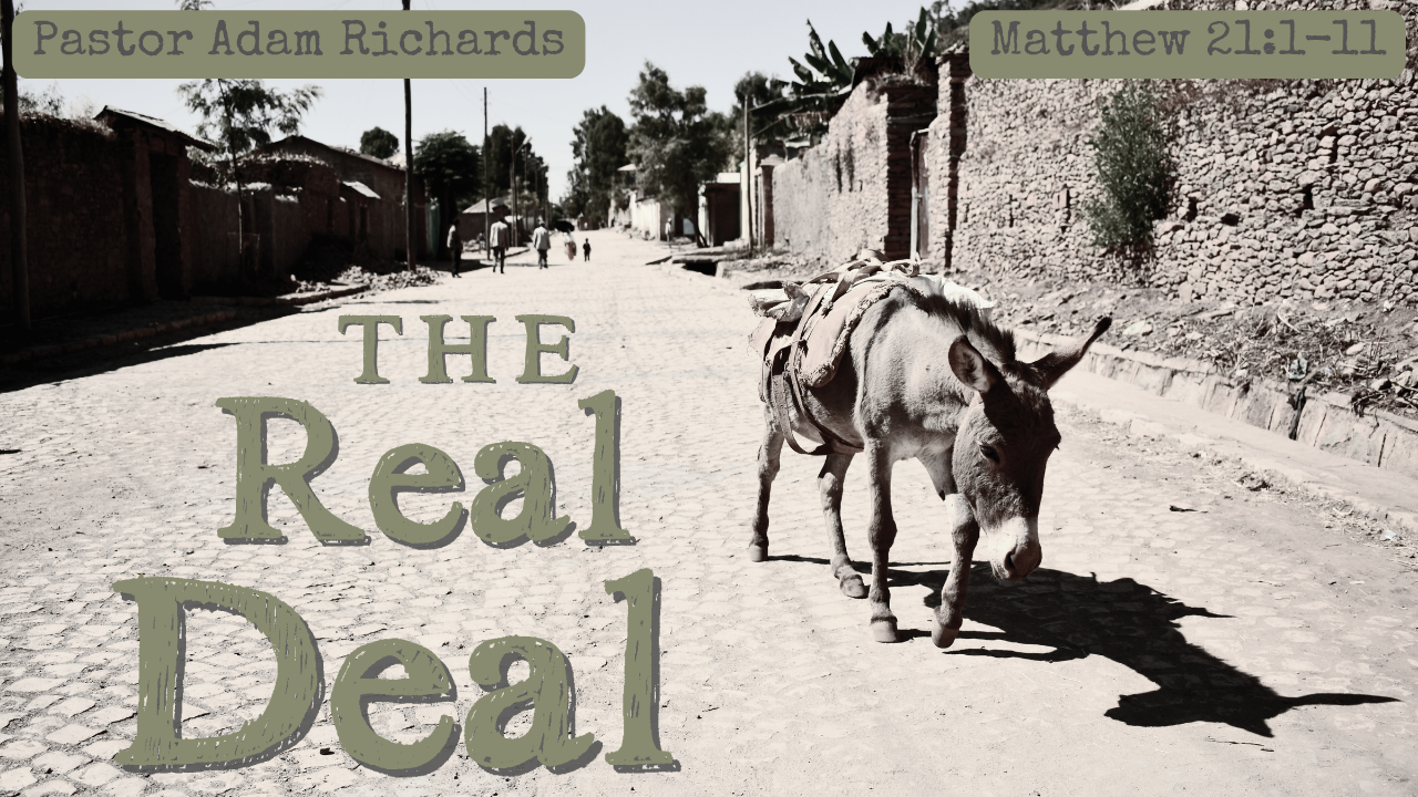   Coming March 29   Hosanna in the highest - it's Palm Sunday! Pastor Adam Richards brings the message "The Real Deal." Children are invited to participate in the palm parade - meet in the Triangle Room before the 9:15 and 11:30 services. Services ar