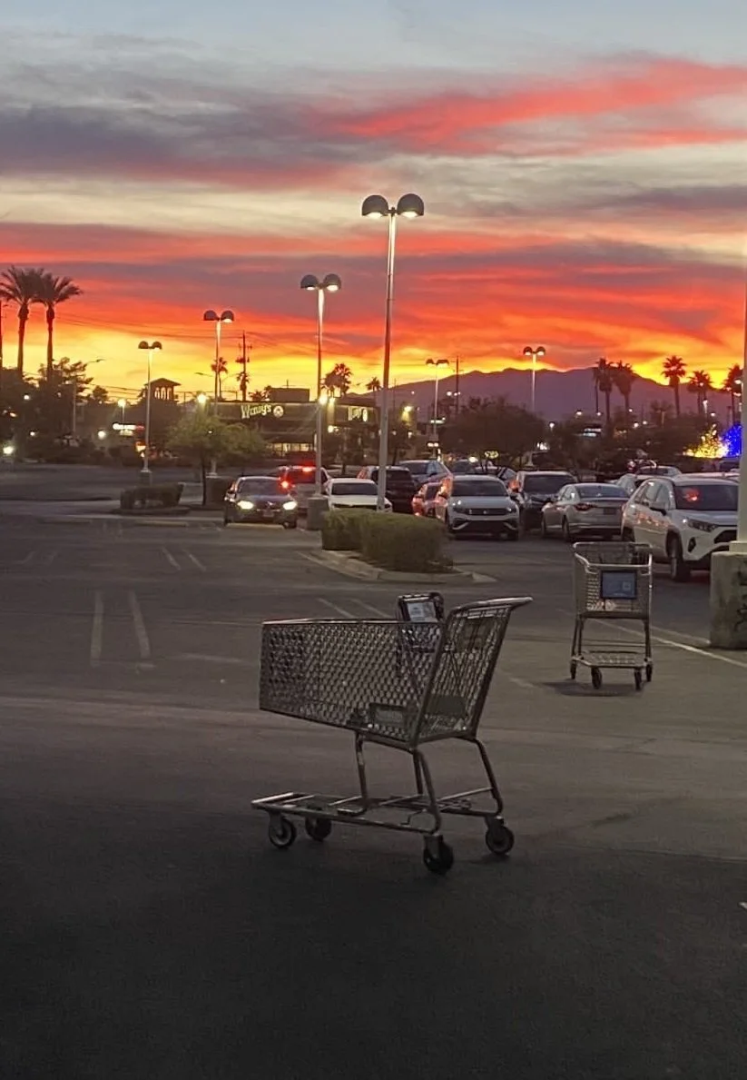 The Sophisticated Shopping Cart Thieves of North Las Vegas