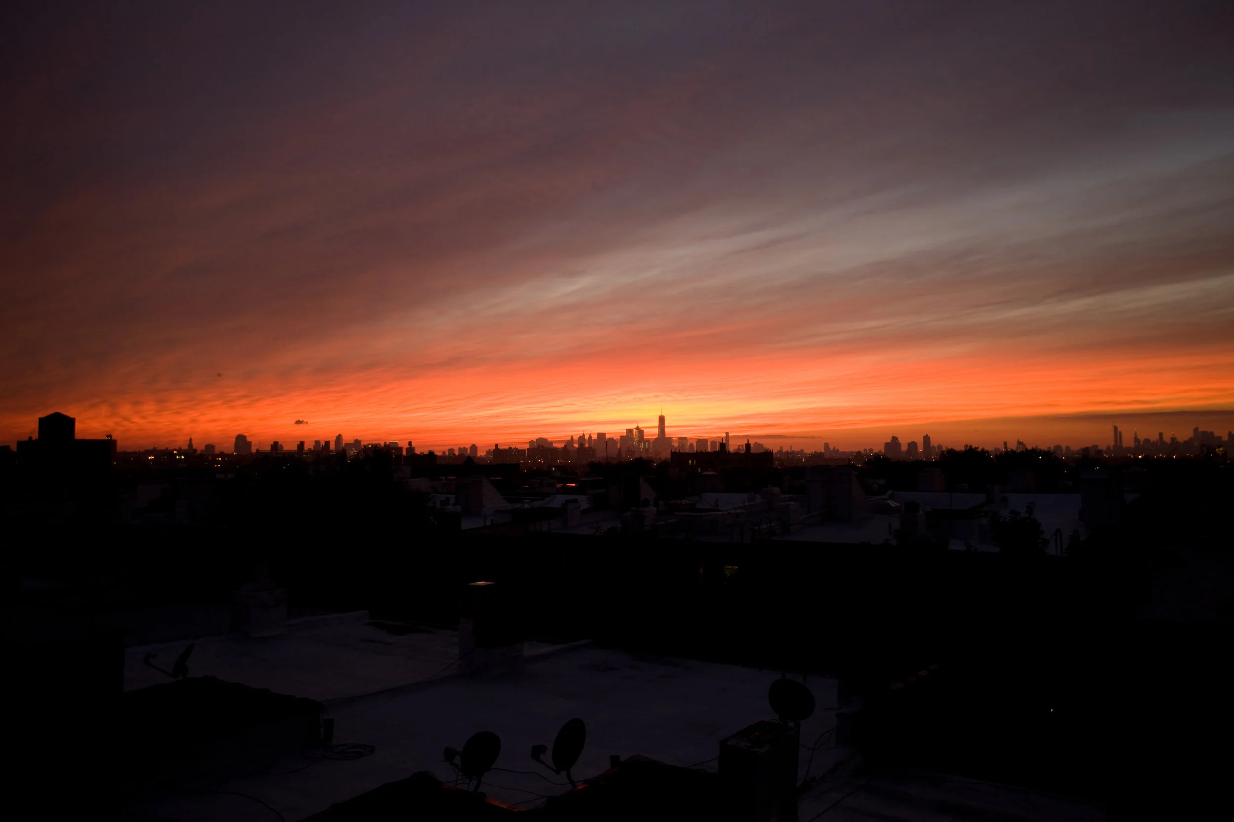 IMG_1769.jpg