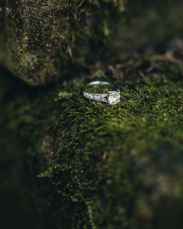 Happy Tuesday, friends! Here&rsquo;s a gorgeous ring on a mossy rock to get you through the rest of the week. 🌿