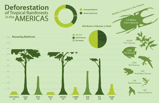 Deforestation.jpg