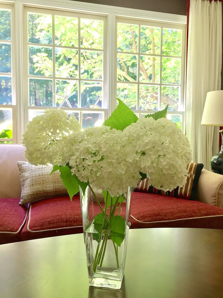 memorial_day_hydrangeas.jpeg