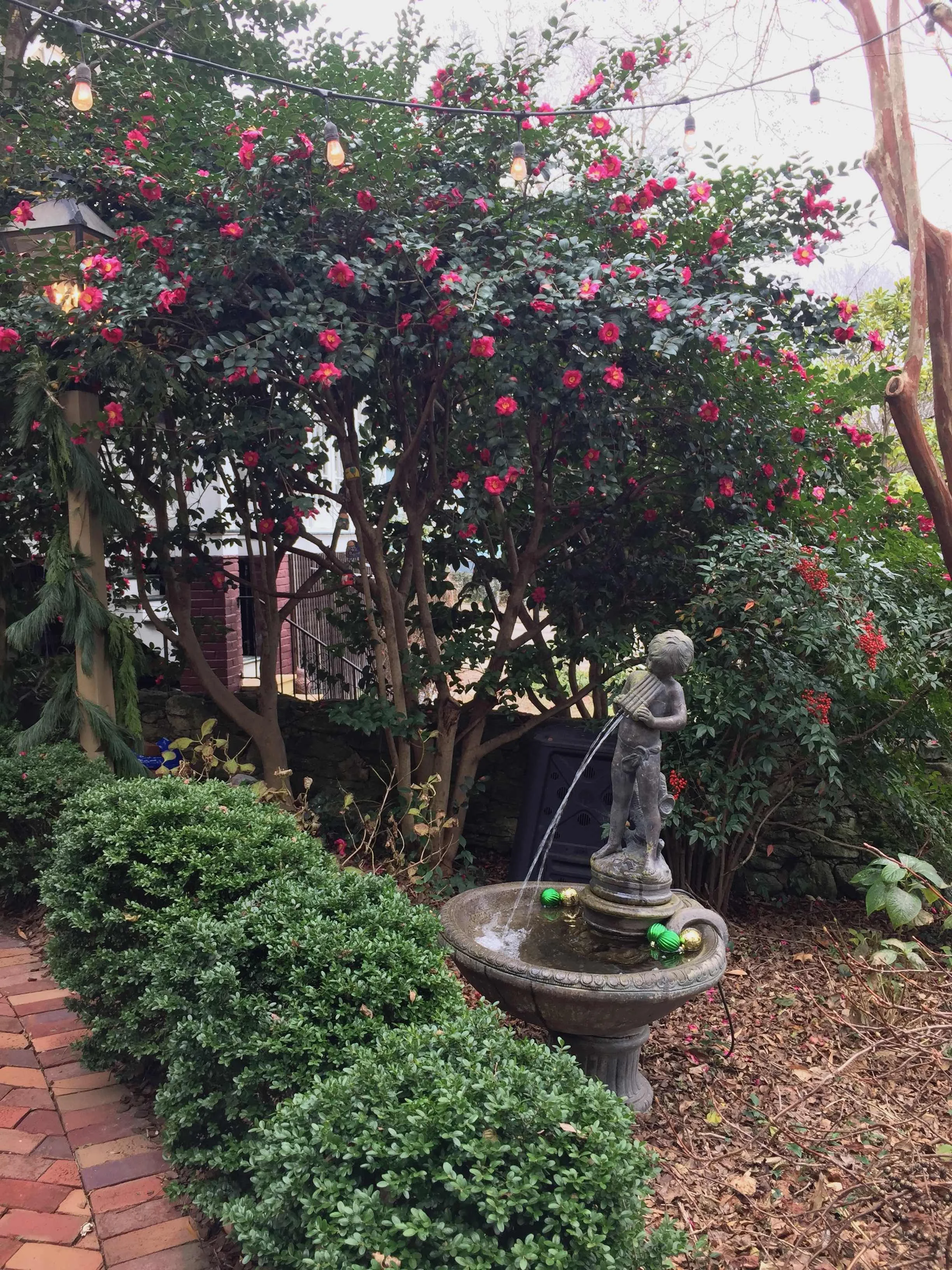 holiday_oakwood_garden.jpg