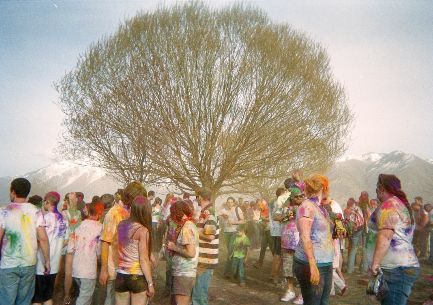 HoliTree-16.jpg