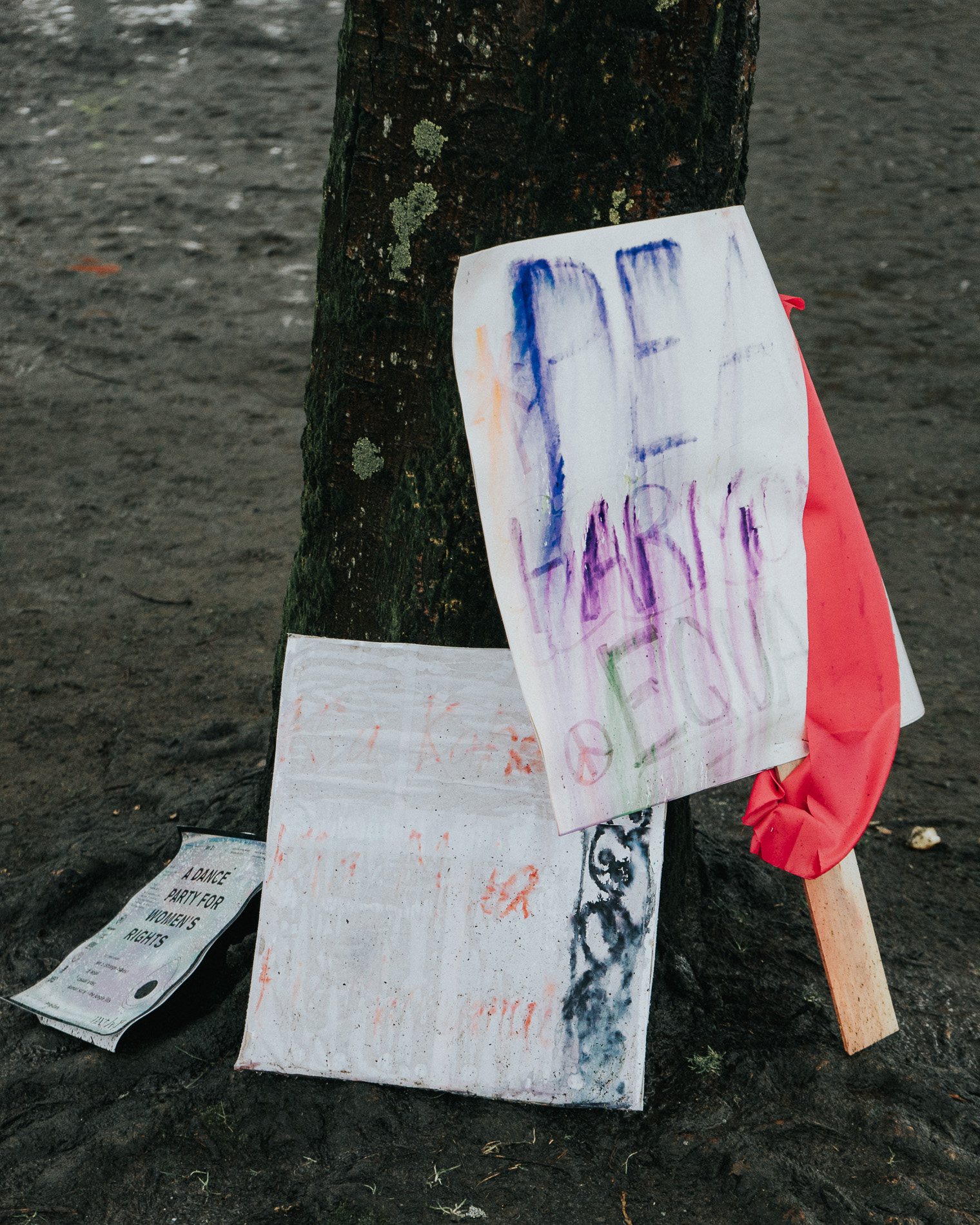 Rowan Bradley - Signs of Resistance-7848.jpg