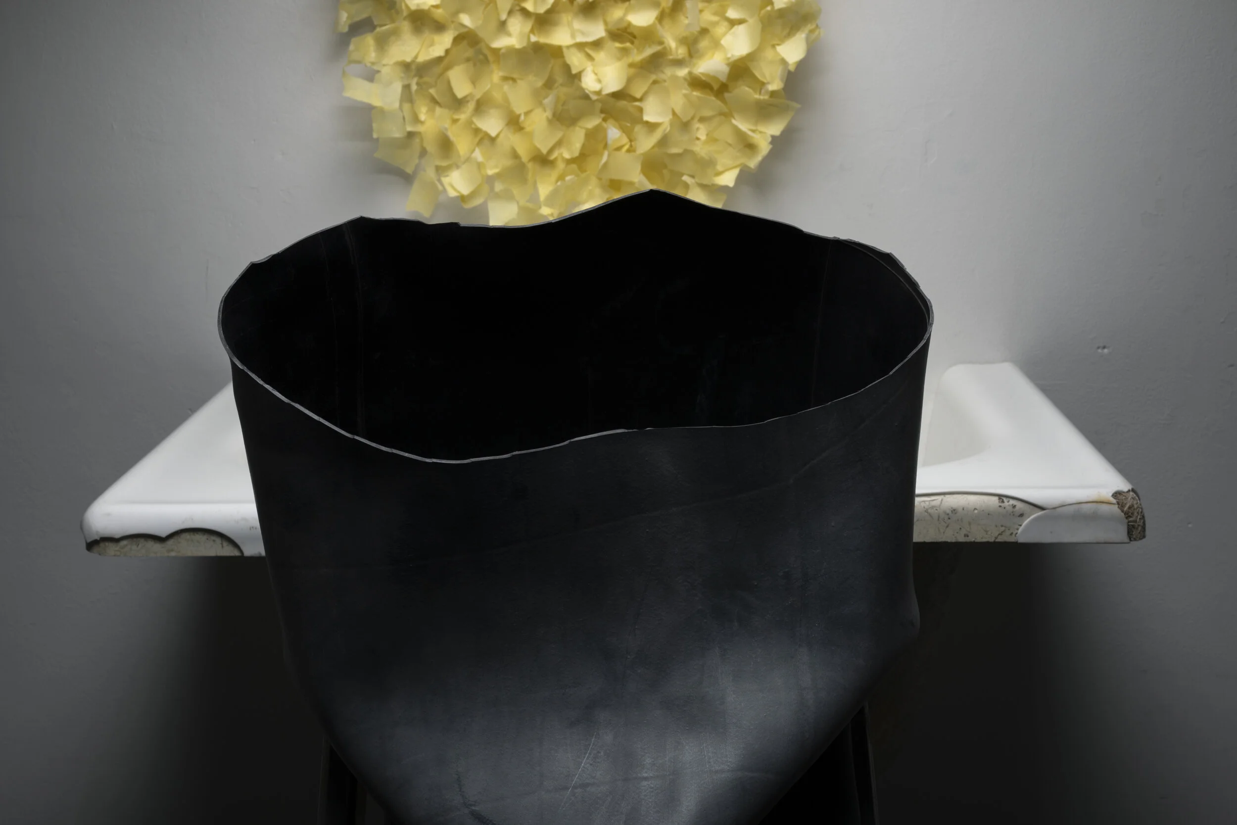 A0150038-2.jpg