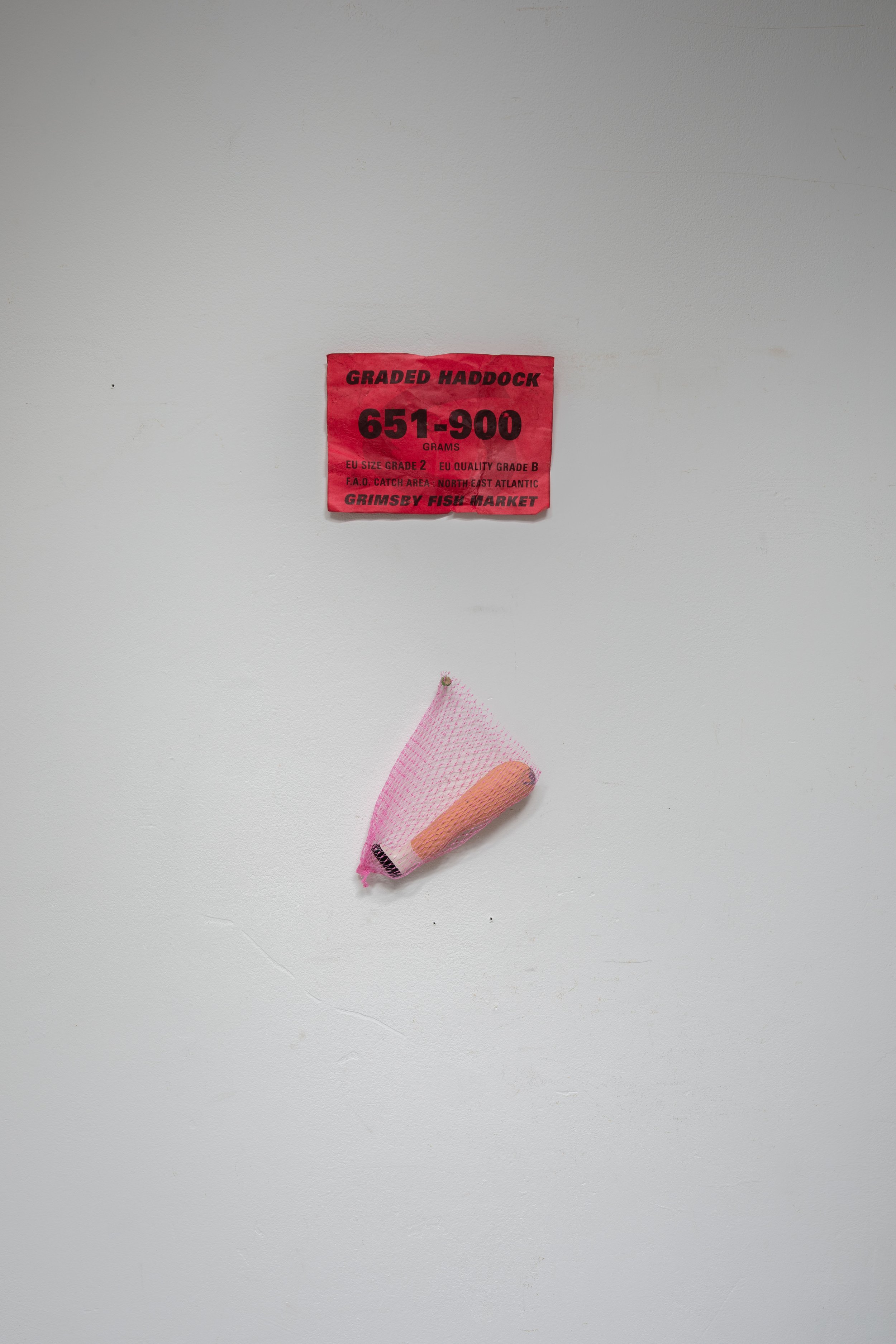_U910039.jpg